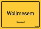Pfalz 227 - Wollmesem