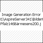 Pfalz 146 - Bärmesens