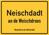 Pfalz 110 - Neischdadt