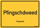 Pfalz 200 - Pfingschdweed